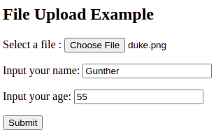 File Upload Form